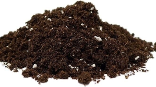 Coco Coir and Potting Soil