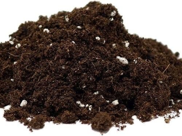 Coco Coir and Potting Soil