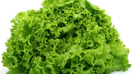 Lettuce